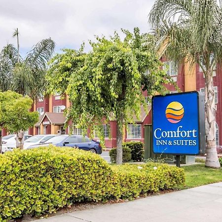 Comfort Inn&Suites Salinas Eksteriør bilde